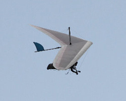 Finne_Shark_2